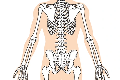 慢性腰痛の説明画像